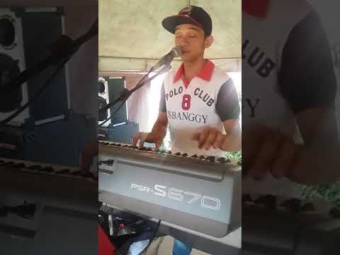 Zezo o Príncipe dos teclados