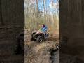 How Not to Successfully Get Up a Creek Bank Kawasaki Brute Force #atv #mud #offroad #shorts