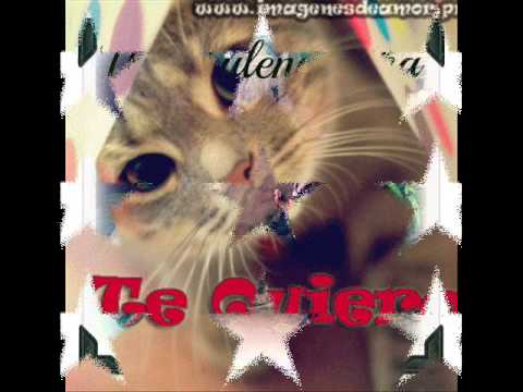 AMOR DE COLEGIO   DJ Bryanflow & La Lenta Love Rap   Video Lyric