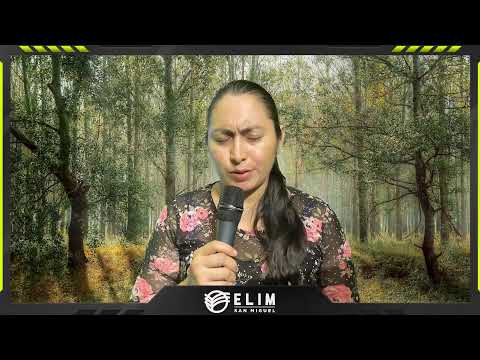 El testimonio de los Discipulos