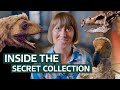 The Most Incredible Treasures In The Natural History Museum S Collection Our History
