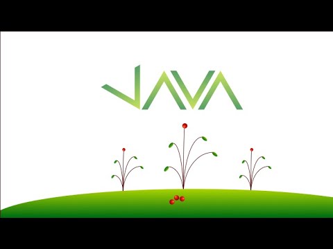 Java Coding Tips Java 11 For Complete Beginners 019