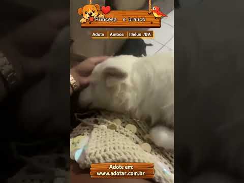 Vídeo de Princesa  e branco 