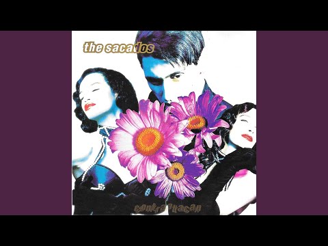 Hablandole A La Pared - The Sacados