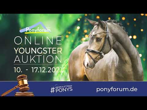 CATORI 2j. Stute v. Del Estero / Charm of Nibelungen