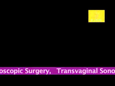 Dr. Kuldeep Jain's Interview 1