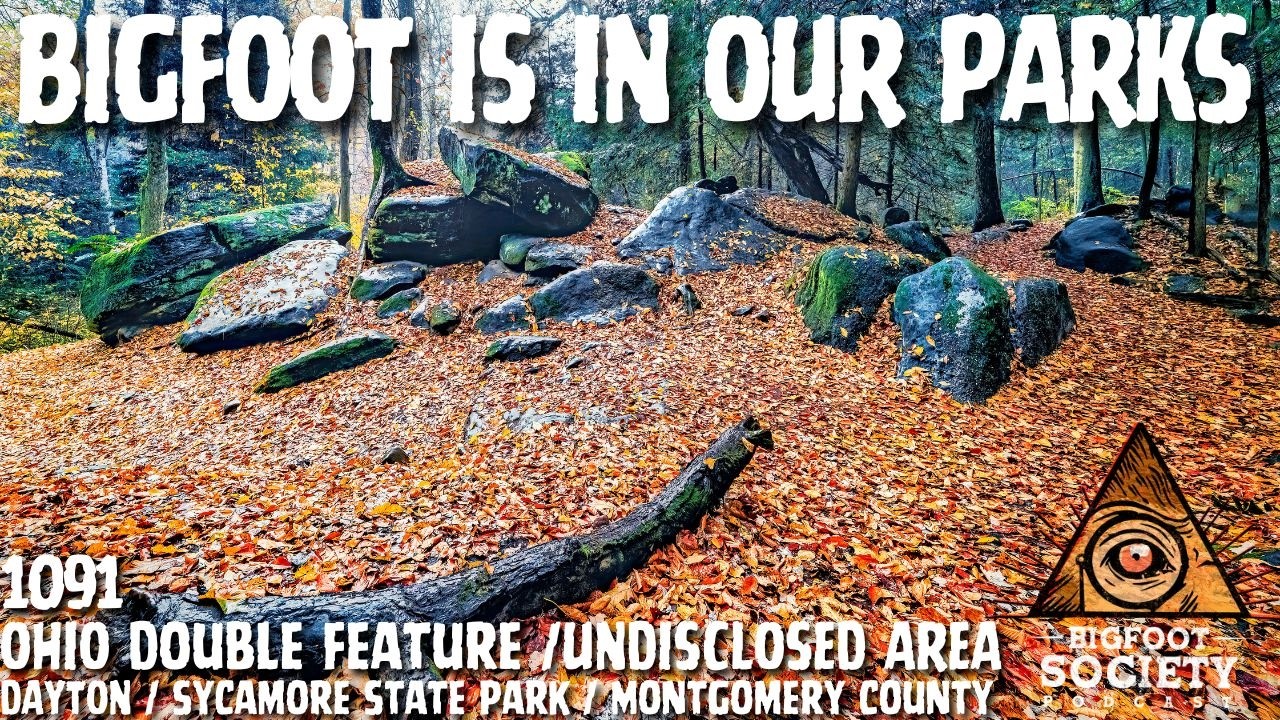 Multiple Bigfoot Encounters Across Ohio — Witnesses Describe What They Saw!