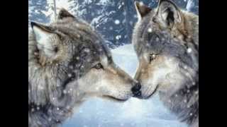 T CONNECTION - You Found Someone New.wmv (HQ)