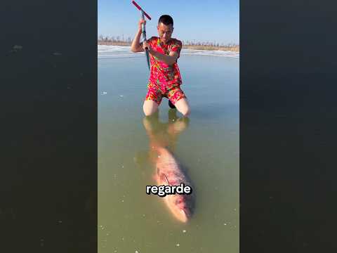 Papa a tout fait pour sauver les poissons ! 🐟🥺💥 #shorts