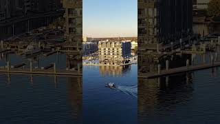 Flori on the go....💃 ❤️ 🌷 ⛱️ 🛳 🌇 #youtubeshorts #travel #trending #viral #ytshorts #cruise #relaxing