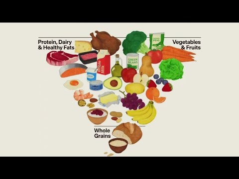 Federal government releases new 'food pyramid' with updated dietary guideline