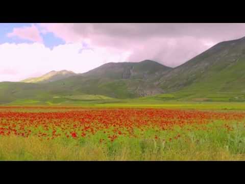 Castelluccio A Glimpse of Paradise