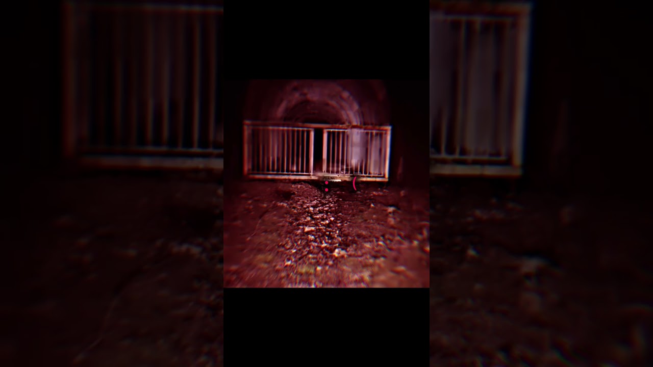 変な声聞こえた