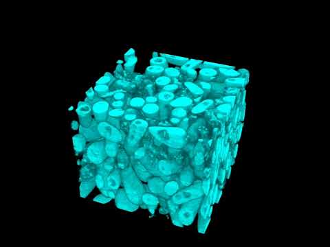 A journey to the origins of multicellular life: Long-term experimental evolution in the lab