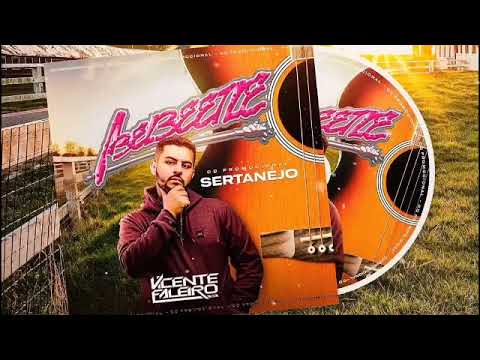 CD Abelbeetle 2022 Sertanejo -DJ Vicente Faleiro