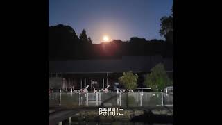 お食事プランの開始予定