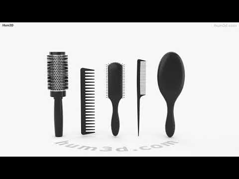Hair Brush Set 3D model by 3DModels.org