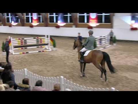 Auf der Hengstvorführung mit Flic Flac