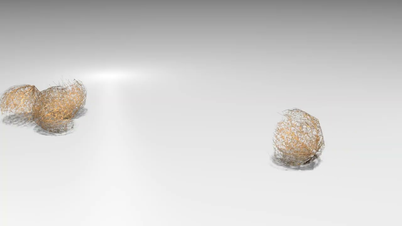 Tumbleweed Modello 3D