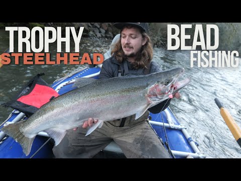 TROPHY Winter Steelhead |BOBBER DOWNS Bead Fishing Success|