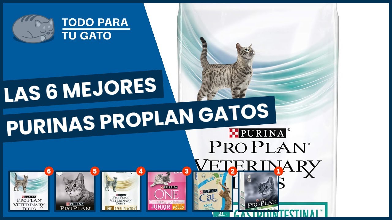 Las 6 mejores purinas proplan gatos