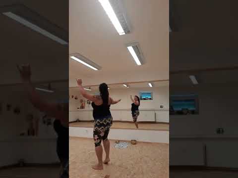 Orientální tanec Eva dance  - Arash inspirace