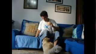 ¿Alguien me escucha?