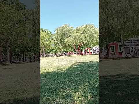 Siesta y espacio verde (Villa Carlos Paz)