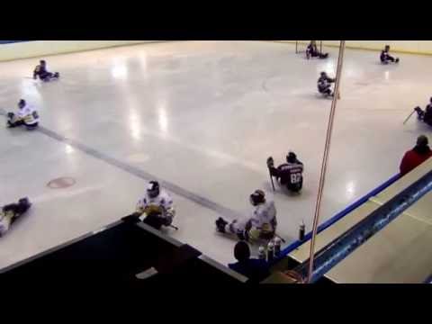 Sparta Praha sledge hokej vs Litvínov