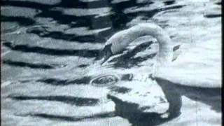 Ecstasy of Saint Theresa - Surfing on Steam