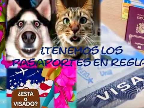 VIAJES DE NOVIOS