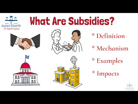 What are Subsidies? | International Business | From A Business Professor