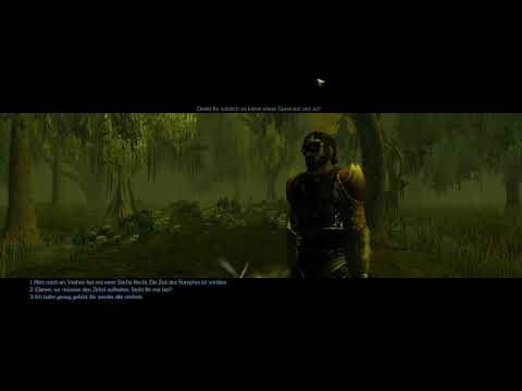 Let's Play Neverwinter Nights 2 [Deutsch] [Böse] Part 141 - Tschüss Elanee