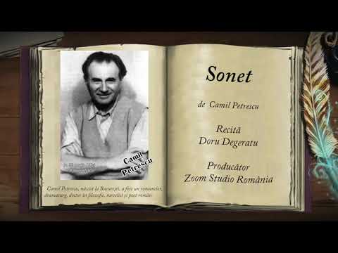 Camil Petrescu  * Bibliografie, Viata si Opera Sa