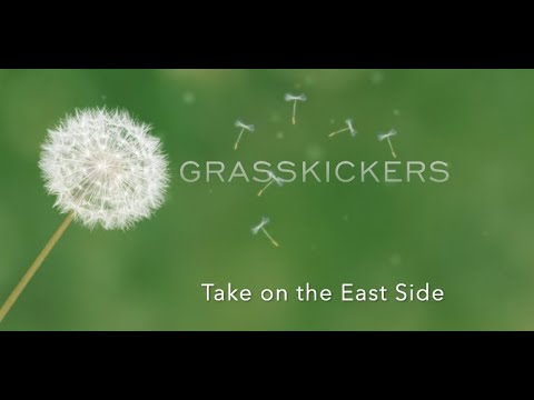 Gr-Asskickers play kickball or kick ball