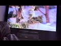 Closing To Jack Frost 1992 VHS