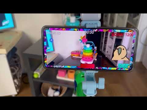 Colour Gun