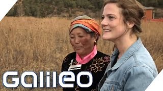 Video-Thumbnail von YouTube