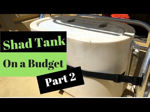 Shad Tank On a Budget (Part 2)
