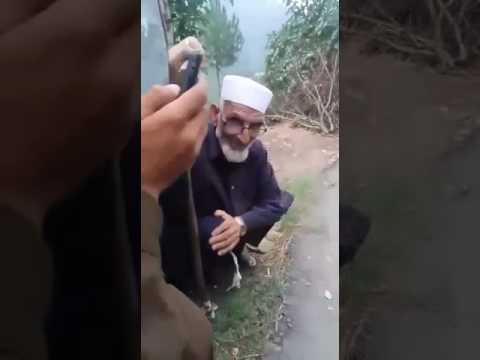 Funy cacha chaknari bagh