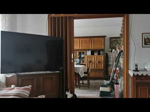 Das erste Video von Mila in Oedelum