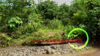 Download lagu PALULU MERA NGURA mp3