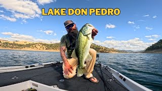 Finding That Winning Pattern - Bass Fishing Lake Don Pedro