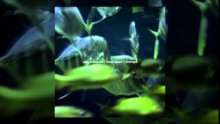 Bass Communion/Muslimgauze: One