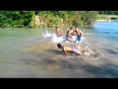 harlem shake la plaja contesti