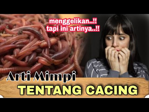 ARTI MIMPI TENTANG CACING, MENGGELIKAN TAPI INI ARTINYA..!! tafsir mimpi dan maknanya.