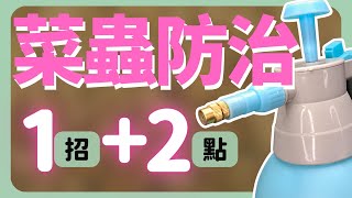 不要逼我點變態辣！菜蟲防治1招+2重點 | How to use Bacillus Thuringiensis |《葛斯怎麼種》46