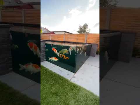Amazing Koi Pond with Glass!