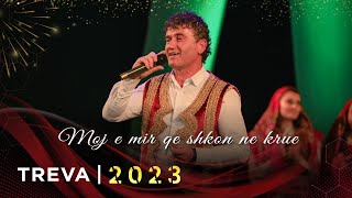 Sokol Gjoni - Moj E Mir Qe Shkon Ne Krue