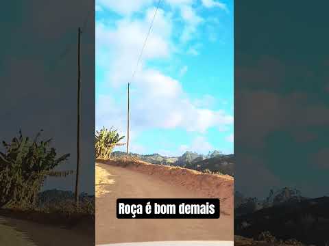 #espiritosanto #agro#roça